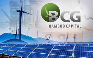 Chào hơn 266 triệu cổ phiếu, Bamboo Capital (BCG) chỉ bán được 78,3 triệu đơn vị 