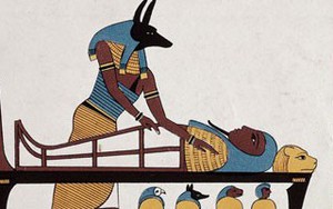 Thần chết Ai Cập được tôn vinh bởi 8 triệu con chó ướp xác