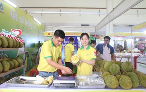 Một phiên chợ đang diễn ra ở Hà Nội, bán toàn trái cây đặc sản, sầu riêng Musangking hút khách nhất