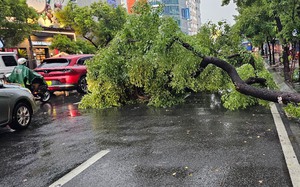 Cây xanh đổ ngã trong mưa lớn đè lên một người phụ nữ nhập viện trong tình trạng đa chấn thương - Ảnh 6.