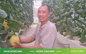 Radio online Nông dân Ấn độ trồng thanh long không cần đất, nhổ cỏ bằng năng lượng mặt trời - Ảnh 4.