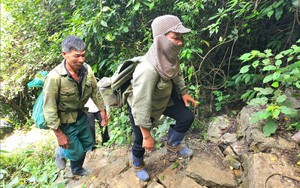 Một nông dân Ninh Bình vào rừng bắt ốc núi, gần 2 tuần tìm kiếm vẫn bặt vô âm tín