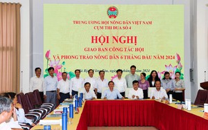 Phó Chủ tịch Hội NDVN Nguyễn Xuân Định chủ trì hội nghị giao ban Cụm thi đua số 4 tổ chức tại Bà Rịa-Vũng Tàu