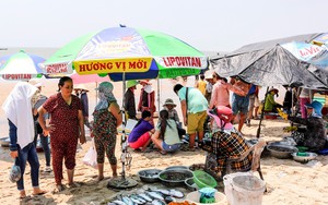Ở một nơi của Bình Thuận thấy cắm ô rợp trời, ngỡ bãi biển tấp nập, hóa ra là chợ làng, bán cá theo chậu