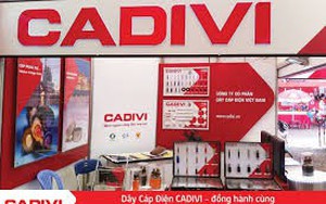 57,6 triệu cổ phiếu CAV của Cadivi sẽ 