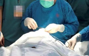 Sở Y tế TP.HCM yêu cầu Bệnh viện Korea Star - Sao Hàn tạm ngưng các hoạt động