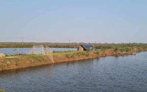 Vụ tranh chấp đầm nuôi trồng thủy sản ở Tiên Lãng (Hải Phòng): Công an huyện khởi tố vụ án cố ý gây thương tích