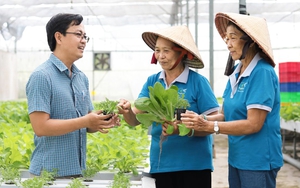 T.Ư Hội NDVN triển khai Phong trào thi đua “Cán bộ, hội viên nông dân tích cực tham gia phát triển kinh tế tập thể