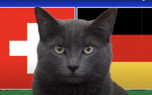 Mèo tiên tri Cass dự đoán kết quả Thuỵ Sĩ vs Đức