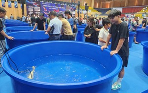 Loại trái cây nhà giàu ngày nào giờ rẻ bèo, bán đầy đường ai cũng mua được - Ảnh 4.