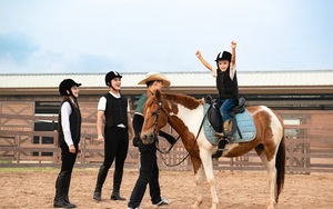 Loài ngựa cao nhất thế giới chào đời tại Vinpearl Horse Academy - Ảnh 6.