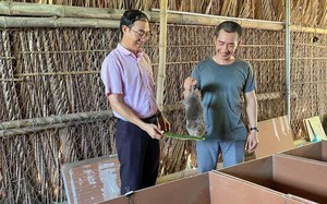 Nông dân Quảng Ngãi đầu tư nuôi con đặc sản từ vốn tín dụng chính sách, bán 470.000 đồng/kg