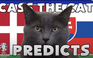 Mèo tiên tri Cass dự đoán kết quả Đan Mạch vs Serbia