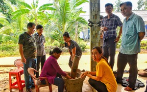 Lục bình, cây ngoại lai hoang dã, heo ăn chả nổi, nay ở Sóc Trăng dân cắt, phơi, đan lát, có tiền - Ảnh 4.