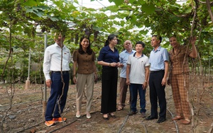 Hơn 124.000 hộ ở Bắc Ninh đăng ký phấn đấu đạt danh hiệu nông dân sản xuất kinh doanh giỏi các cấp