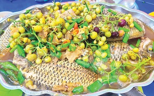 Vùng đất có rừng rậm nổi tiếng Kiên Giang, thiên hạ vô đi câu cá lóc đồng, nếm thử 3 món cá đặc sản ngon