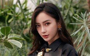 Angelababy trở về quê nhà tìm cơ hội mới- Ảnh 2.