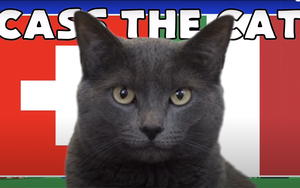 Mèo tiên tri Cass dự đoán kết quả Thụy Sĩ vs Italia