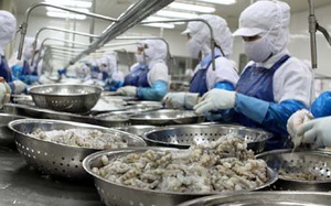 Doanh số tháng 5/2024 của Thực phẩm Sao Ta (FMC) đạt 15,5 triệu USD, tăng 43%