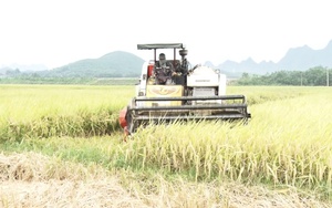 Tập trung nguồn lực bơm thoát, tiêu úng không để ngập kéo dài, đảm bảo an toàn đời sống nhân dân sau mưa lũ - Ảnh 4.