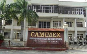 Không còn nhu cầu kinh doanh, Camimex Group (CMX) giải thể 1 công ty con