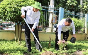 MTTQ tỉnh Bình Dương: Đa dạng các hoạt động chăm lo cho người nghèo, người yếu thế - Ảnh 9.