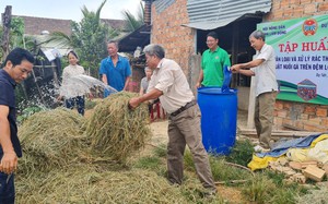 Nông dân Lâm Đồng nâng cao ý thức bảo vệ môi trường nhờ tham gia các dự án của Hội Nông dân