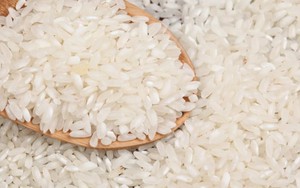 Philippines đã nhập kỷ lục gần 2 triệu tấn gạo chỉ trong 5 tháng, mua nhiều nhất của Việt Nam