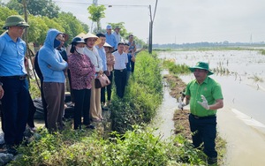 Ở một huyện của Thanh Hóa đang phát động dùng cách này để diệt trừ một loài vật chuyên mài răng