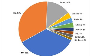 Xuất khẩu cá ngừ đóng hộp tăng 51% trong hai năm