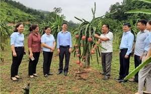 Hội Nông dân tỉnh Cao Bằng đổi mới nội dung, phương thức vận động Quỹ Hỗ trợ nông dân 