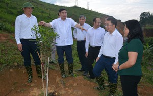 Điện Biên: Khi người đứng đầu 