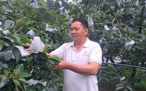 Nông dân Lâm Đồng nâng cao ý thức bảo vệ môi trường nhờ tham gia các dự án của Hội Nông dân- Ảnh 3.