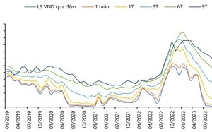 17 mã cổ phiếu được "lọt vào tầm ngắm" của Chứng khoán Rồng Việt  - Ảnh 5.