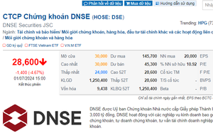 Cổ phiếu DSE của Chứng khoán DNSE giảm gần 5% trong ngày 