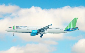 Bamboo Airways từ top 10 nộp thuế lớn nhất tới nợ thuế, CEO Lương Hoài Nam nói gì? - Ảnh 6.