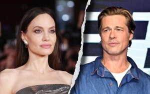 Brad Pitt lo sợ bị các con 