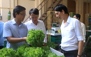 Ban Bí thư ban hành Chỉ thị số 37 về đổi mới công tác đào tạo nghề cho lao động nông thôn