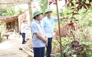 Thái Nguyên: Cả làng phải chịu cảnh hôi thối từ trang trại vịt - Ảnh 6.