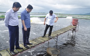 Hội Nông dân tỉnh Quảng Ninh tuyên truyền hiệu quả, nông dân hiểu luật, giảm khiếu kiện - Ảnh 2.