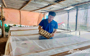 Các "siêu" thanh niên ấn tượng với công nghệ ươm tạo cây trồng mới ở ThaiBinh Seed - Ảnh 5.