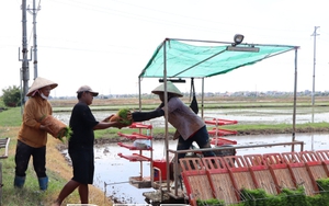 Tây Ninh: “Dân vận khéo” trong tích tụ ruộng đất - Ảnh 3.