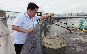 Nông dân Trà Vinh ứng dụng chuyển đổi số trong nuôi tôm, trồng dưa lưới, có nông dân xuất sắc thu 8-9 tỷ/năm