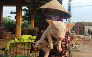 Thủ tướng Chính phủ công nhận hai huyện Vĩnh Linh, Triệu Phong đạt chuẩn nông thôn mới - Ảnh 5.