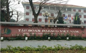 Thành viên HĐQT Dabaco (DBC) thoái toàn bộ vốn khi cổ phiếu bật tăng hơn 27% từ đầu năm