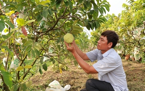 Hội Nông dân tỉnh Đồng Tháp hỗ trợ nông dân bán hàng trên sàn thương mại điện tử - Ảnh 5.