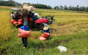 Lương cấp bậc Thượng tá Công an nhân dân năm 2024 chi tiết nhất khi tăng lương cơ sở lên 2,34 triệu đồng - Ảnh 4.