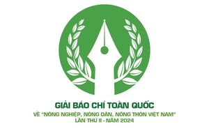 Sắc sen tỏa sáng  - Ảnh 5.