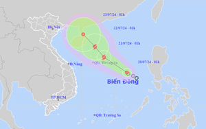 KHẨN: Áp thấp nhiệt đới sắp vào Biển Đông, khả năng cao thành bão số 4 - Ảnh 4.