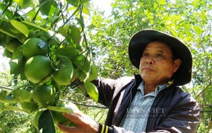 Đi tìm những "làng quê đáng sống": Ngắm ngôi làng toàn biệt thự, người dân phần lớn đi nước ngoài (Bài 5) - Ảnh 13.